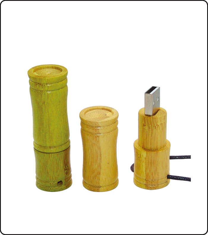 Wooden USB Flash Drive UEW-16